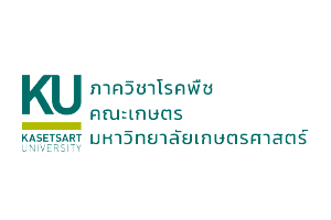 รับทำเว็บไซต์