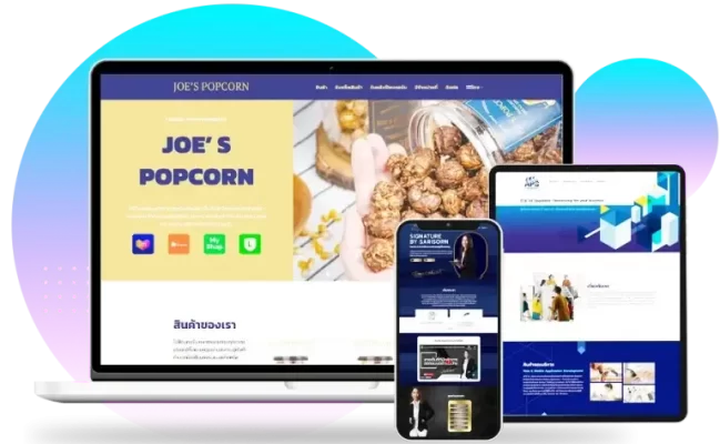 ประสบการณ์ในการพัฒนาเว็บไซต์